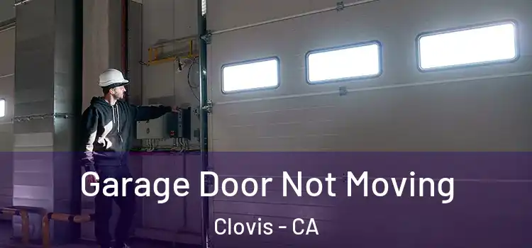  Garage Door Not Moving Clovis - CA