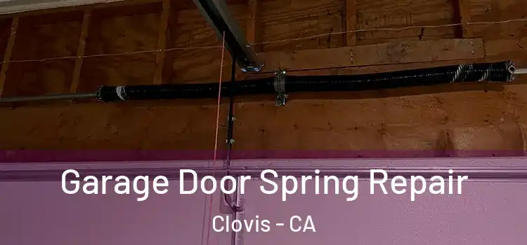  Garage Door Spring Repair Clovis - CA