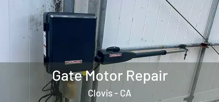 Gate Motor Repair Clovis - CA