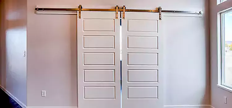 Glass Barn Door with Installation Hardware Kit Clovis