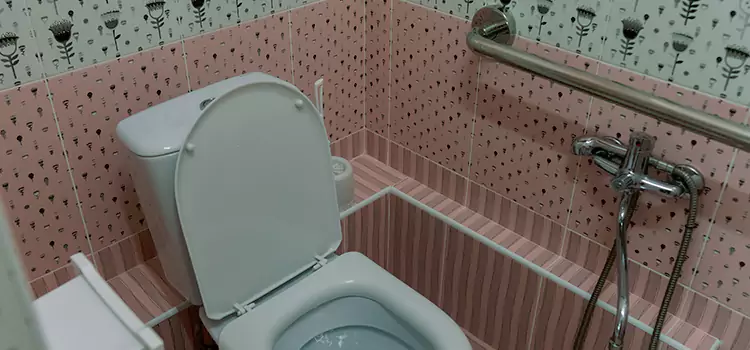 Meeting Diverse Needs With Accessible Restroom Solutions in Clovis, CA