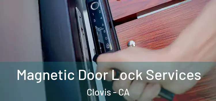 Magnetic Door Lock Services Clovis - CA