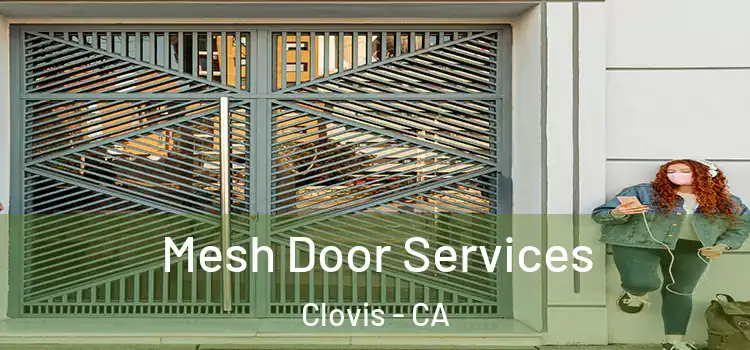  Mesh Door Services Clovis - CA